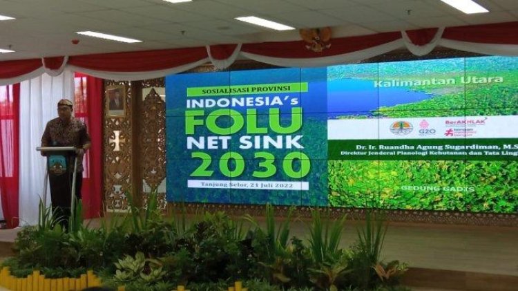 KLHK Gelar Sosialisasi Sosialisasi Indonesia's FoLU Net Sink 2030