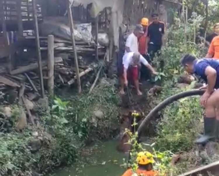 Dramatis Evakuasi Seekor Sapi di Magetan Tercebur Kolam Sedalam 2 Meter