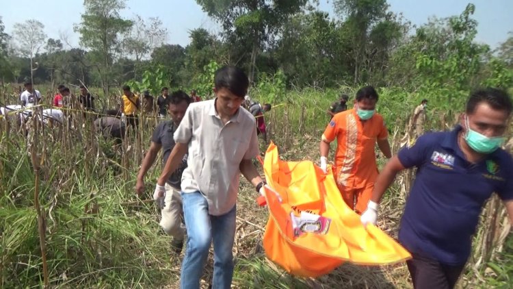 UPDATE Temuan Mayat Perempuan di Kebun Jagung Ngawi, 7 Orang Melapor Kehilangan Keluarganya