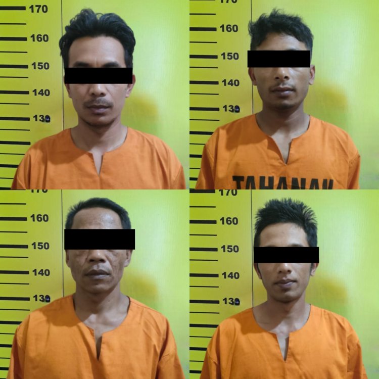 Empat Blandong Kayu Asal Jabung Malang Diringkus Polisi