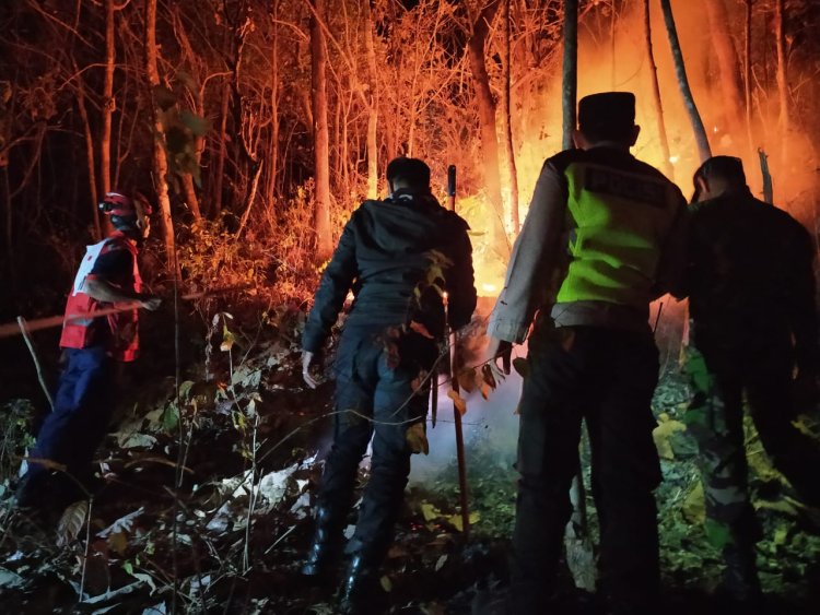 Hutan Jati Rakyat di Lereng Gunung Bungkuk Magetan Terbakar