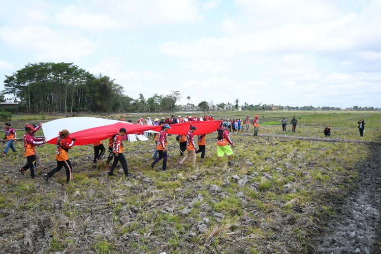 Petani Desa Segaran Malang Kibarkan Bendera Merah Putih di Tengah Sawah