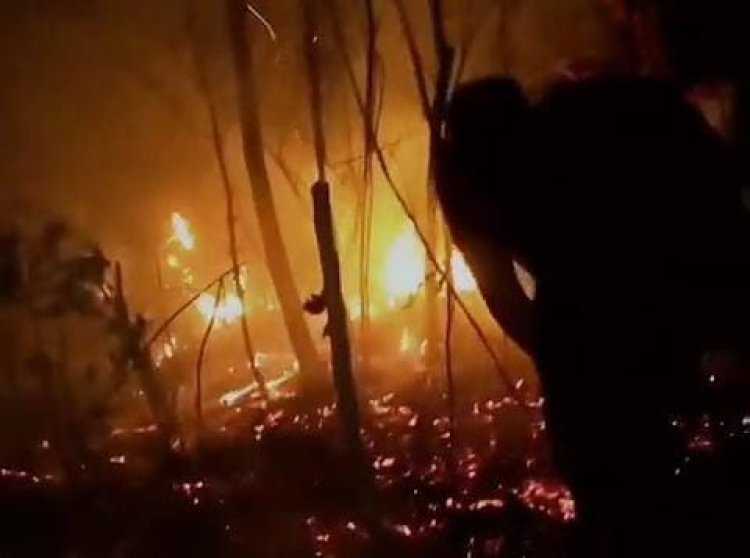 Dua Hektar Hutan di Petak 39 Gunung Lawu Ngawi Terbakar