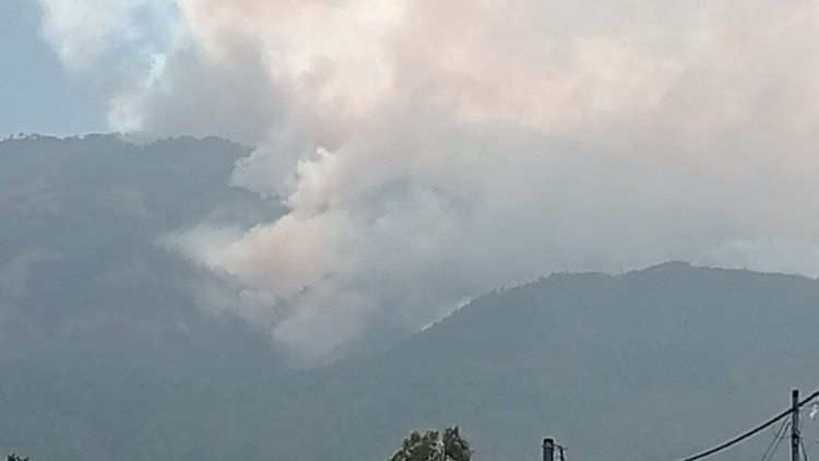 Gunung Lawu Terbakar, Mbok Yem Pilih Bertahan di Hargo Dalem