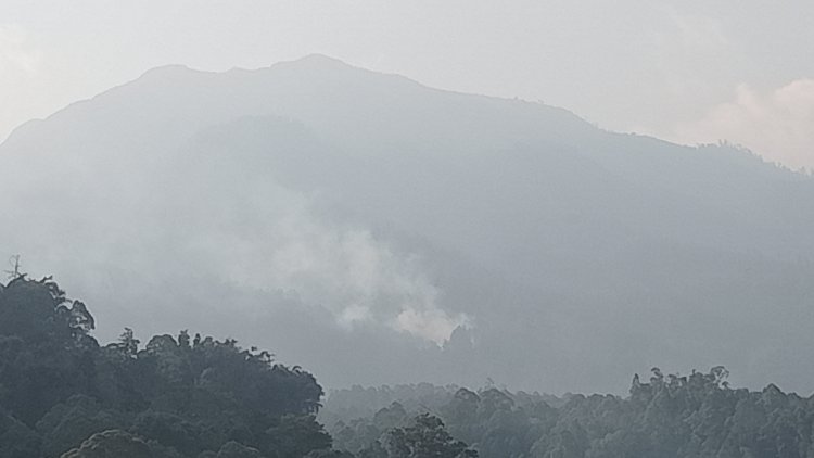 Sempat Padam 4 Hari, Titik Api Kembali Muncul di Gunung Lawu Magetan