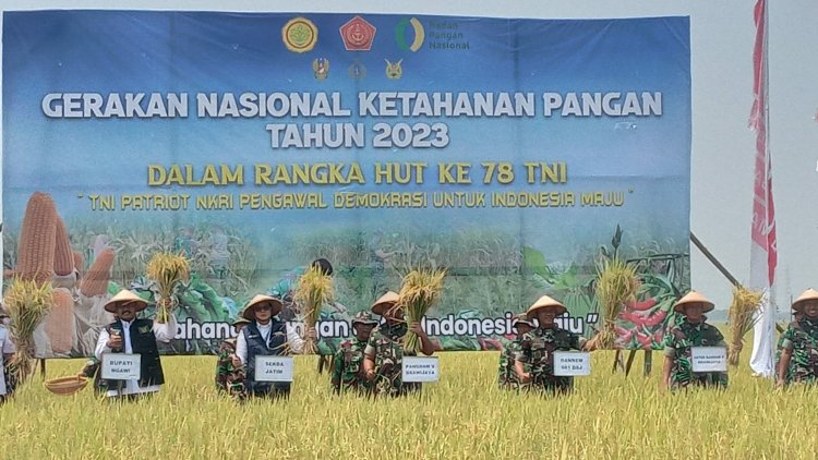 Kemarau Panjang, Produktivitas Padi di Kabupaten Ngawi Tertinggi Nasional
