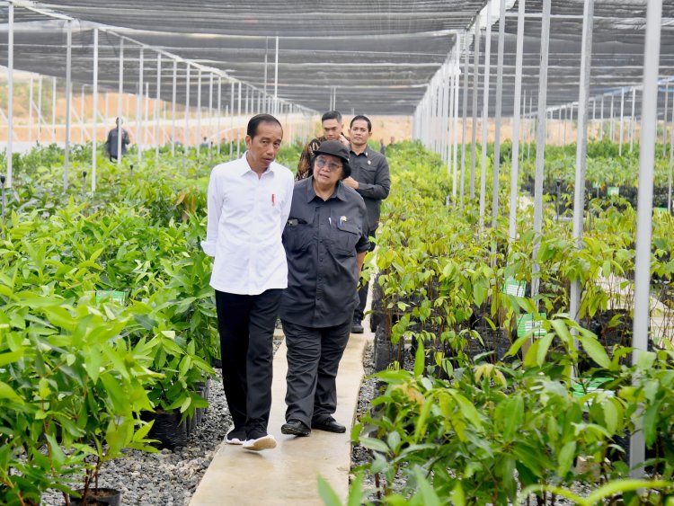 Siti Nurbaya Dampingi Presiden Joko Widodo Kunjungi Persemaian Mantawir