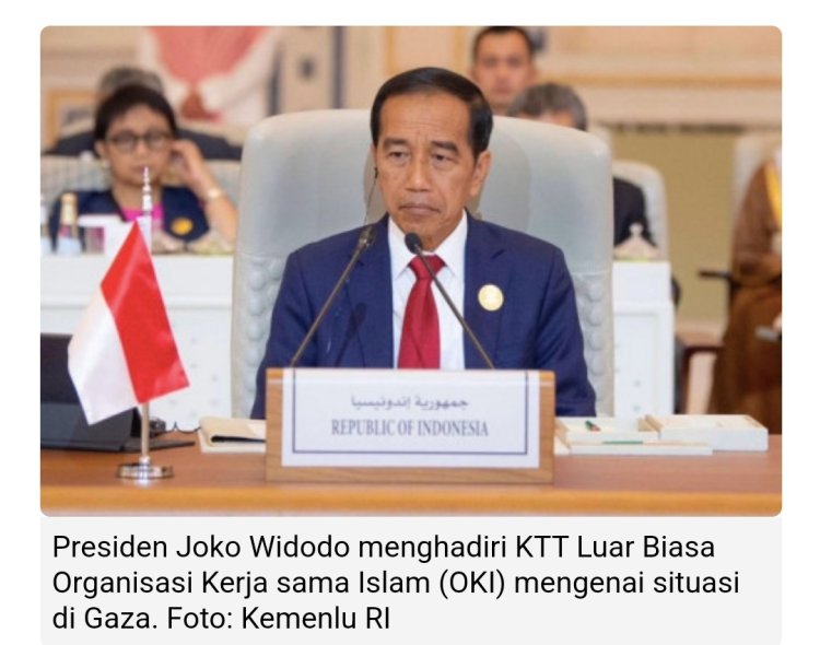 Jokowi Paparkan Empat Saran Konkret Terkait Situasi Gaza