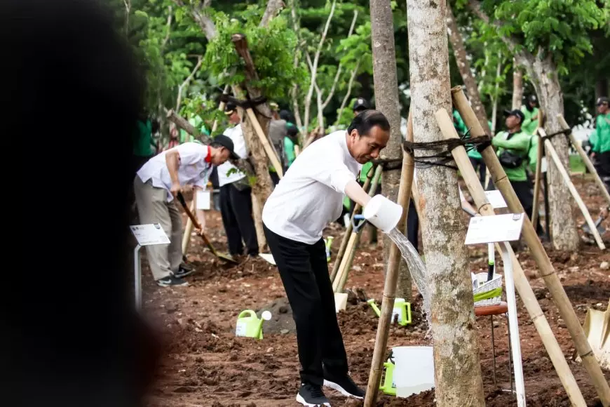 Jokowi Ajak Masyarakat Giatkan Tanam Pohon Atasi Perubahan Iklim dan Polusi Udara