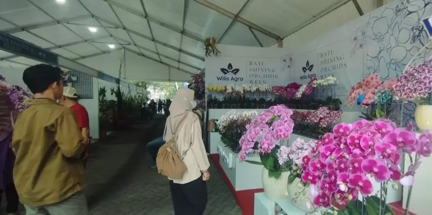 Batu Shining Orchid Week 2023, Tampilkan Beragam Varietas Anggrek dari Penjuru Indonesia