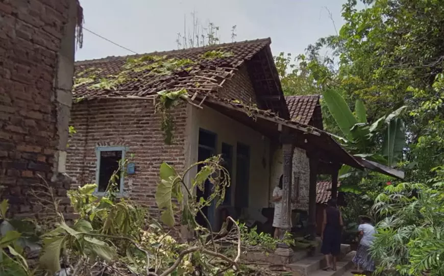 Tertimpa Pohon Jati Tumbang Rumah Janda Tua di Magetan Rusak