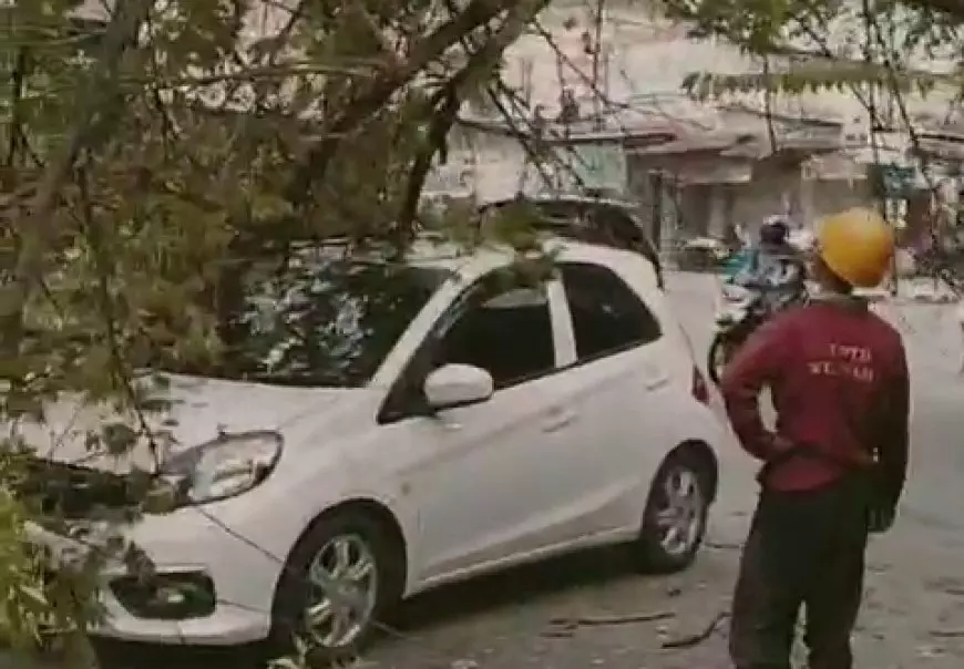 Diterjang Angin Kencang, 3 Pohon Tumbang Timpa Mobil Parkir di Depan Pasar Barat Magetan