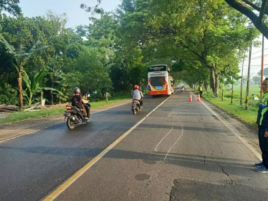 Bus Anugrah Mas Tabrak Pengendara Motor Hingga Koma di Jalan Raya Maospati - Ngawi