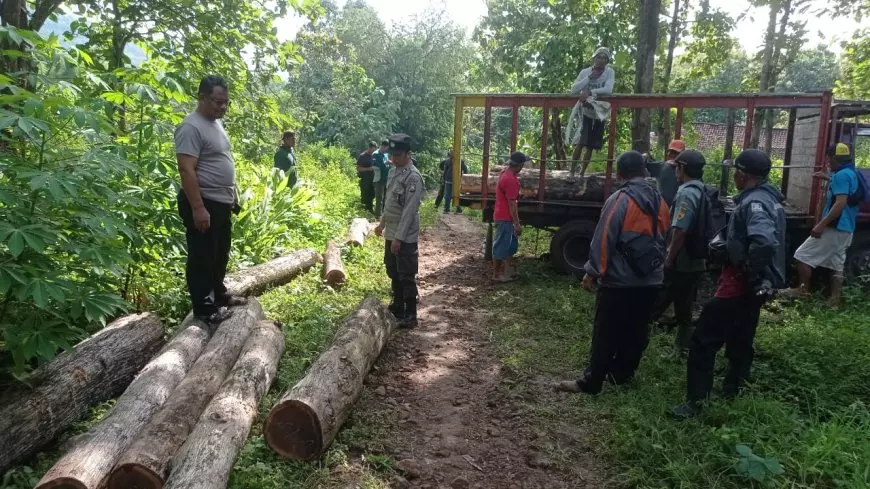 15 Batang Kayu Jati Diduga Hasil Ilegal Logging dan 4 Motor Diamankan Polisi Magetan
