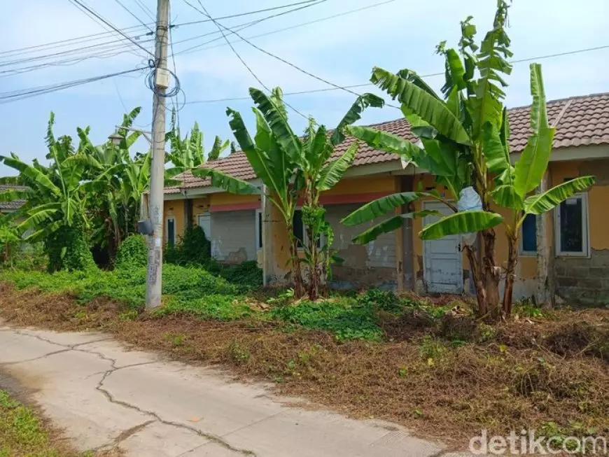 Program Rumah Murah Jokowi, Tampak Tak Berpenghuni dan Ditumbuhi Semak Belukar