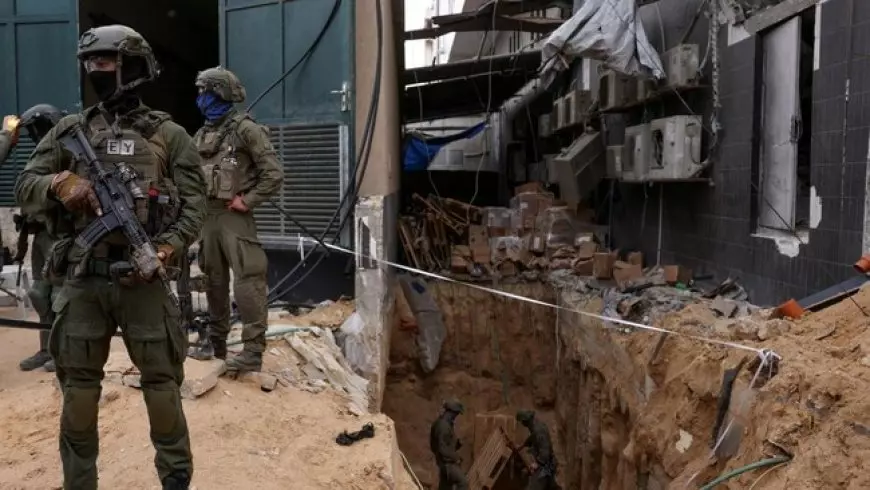 12 Tentara Israel yang Bertugas di Gaza Dilarikan ke RS Usai Diserang Tawon